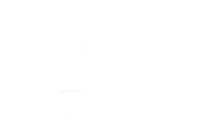 Logo_to_aranđelovac4